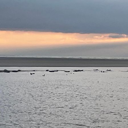 Gite Chti Picard Parking Prive Gratuit Et 100M De La Plage Berck Extérieur photo